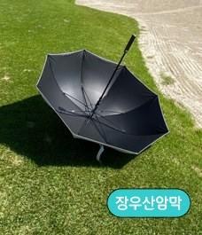 이미지명