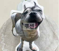 이미지명