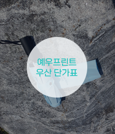이미지명